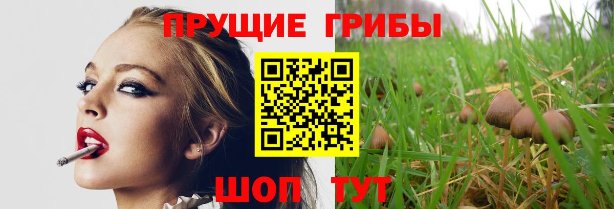 Псилоцибиновые грибы Psilocybe  Вход с VPN  Новотроицк 