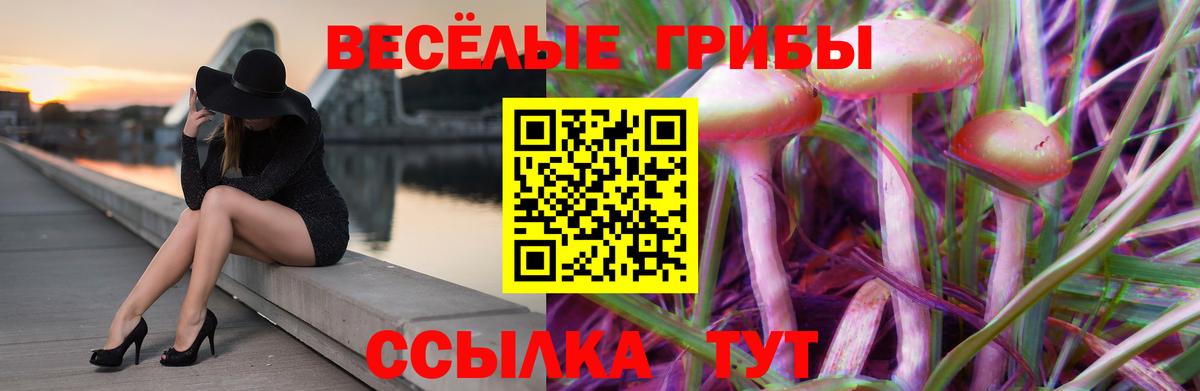 Псилоцибиновые грибы Cubensis Новотроицк